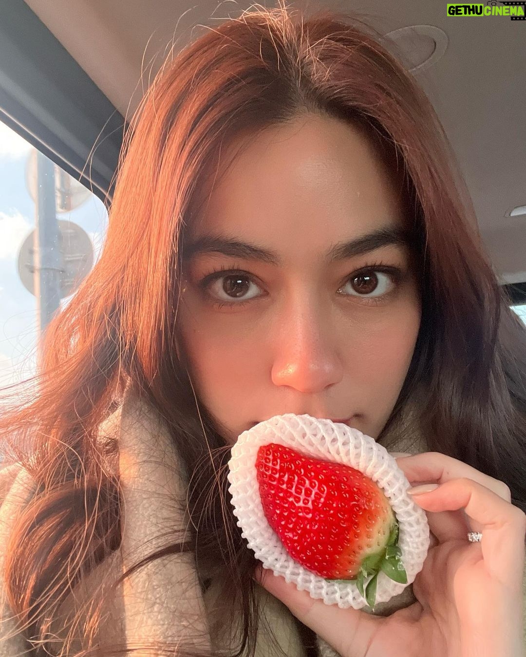 Kimberly Ann Voltemas Instagram - What we ate part.2 desserts 🍓🥯🥐🥞☕️🍰🍫🍯