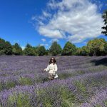 Kimberly Ann Voltemas Instagram - นอกจากเขาพี่เค้ามีทุ่งLavenderให้อยู่นะคะ🪻🐝💜🐑 Wanaka Lavender Farm