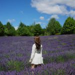 Kimberly Ann Voltemas Instagram - นอกจากเขาพี่เค้ามีทุ่งLavenderให้อยู่นะคะ🪻🐝💜🐑 Wanaka Lavender Farm