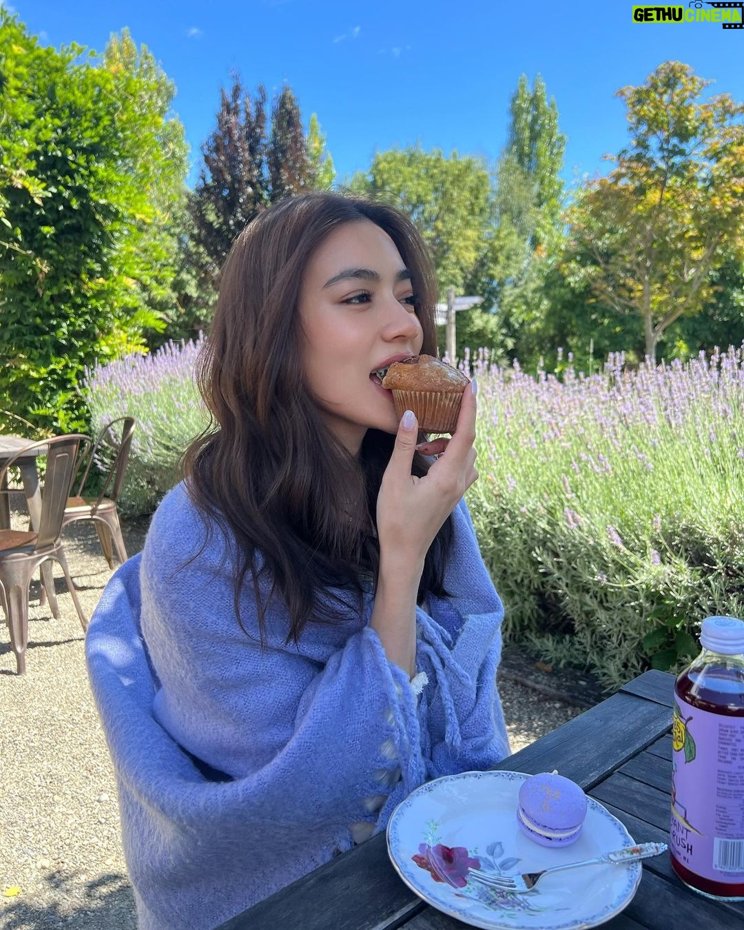 Kimberly Ann Voltemas Instagram - นอกจากเขาพี่เค้ามีทุ่งLavenderให้อยู่นะคะ🪻🐝💜🐑 Wanaka Lavender Farm