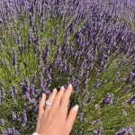 Kimberly Ann Voltemas Instagram - นอกจากเขาพี่เค้ามีทุ่งLavenderให้อยู่นะคะ🪻🐝💜🐑 Wanaka Lavender Farm