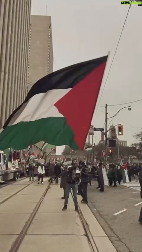 Kinda Alloush Instagram - The flag was banned Hung in secret on walls Today the flag is raised.. Raised with strength, love and determination العلم كان ممنوع يتعلق على أسلاك الكهرباء بالسر اليوم العلم مرفوع.. مرفوع بقوة وحب وإصرار Video edited by @odai.emran 🇵🇸🇵🇸🇵🇸🇵🇸✌️✌️