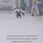 Kinda Alloush Instagram - والله تعجز هوليوود بكل إمكانياتها ومبدعيها أن تقدم مثل هذا المشهد.. أنتم عنوان الصبر ذقتم الألم باختلاف أنواعه وأشكاله واختبرت قسوة الحياة صبركم حتى آخر مداه والله نتألم لألمكم ونصلي لأجلكم وكي ينتهي هذا الكابوس لأنكم تستحقون الحرية والحياة بكرامة 🙏🙏❤️🤍💚 🖤 #freepalestine #gaza #stopthegenocide #غزة #غزة_تحت_القصف #فلسطين
