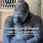 King Instagram - ambassador origin story.