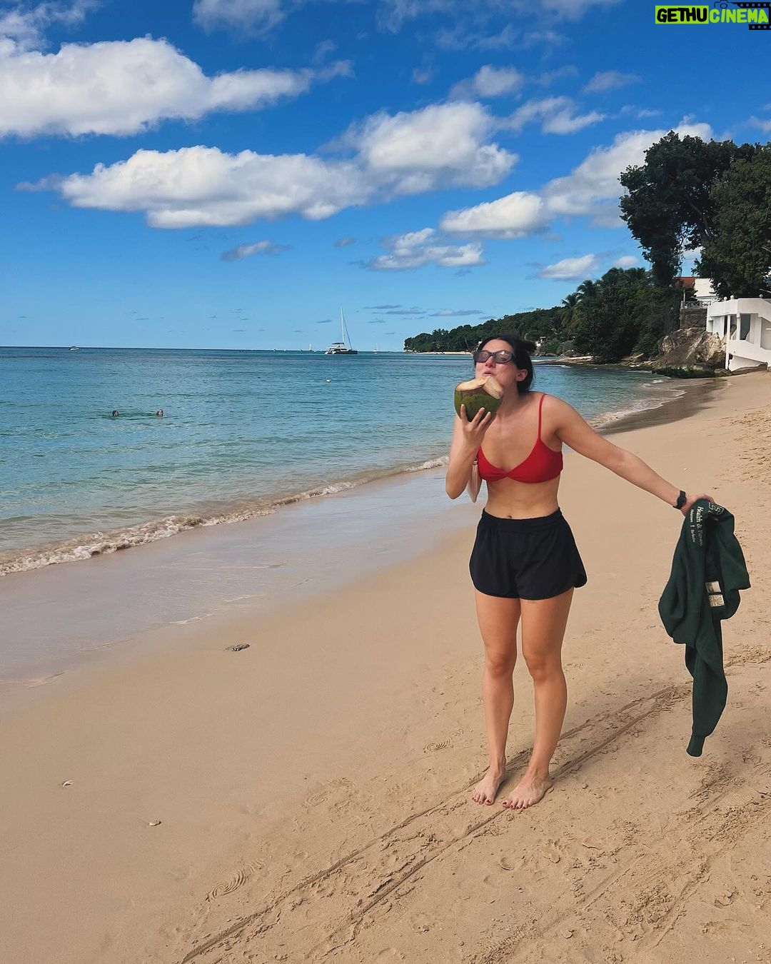 Kira Kosarin Instagram - happy NYE from me & the the many puppies of Barbados I may or may not be trying to figure out how to take home in my suitcase 🌴☀️🇧🇧 Barbados, Caribbean