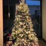 Kira Kosarin Instagram - happy chrimbo from me, the giant polar bear, airplane santa, banana, max, and ellie bellie
