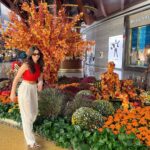 Kira Kosarin Instagram - color!!! art!!! whimsy!!! Las Vegas