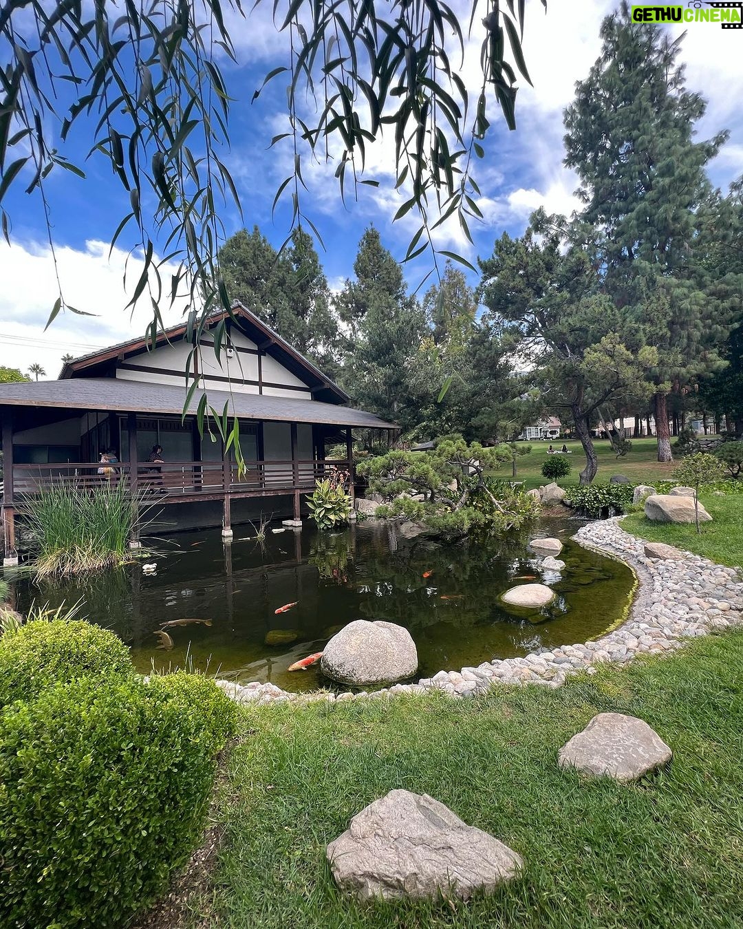 Kira Kosarin Instagram - art !! nature !! friends !! koi fish !!! Brand Park And Library