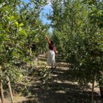 Kira Kosarin Instagram - oh deer 🍎 (more on snap) Oak Glen Apple Orchards