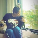 Kiran Rathod Instagram - #loveforforever #lifeline #jaan #barfi #chumchum #tejaa #kuku #mybabies #instapet #instapugs #pugs #pug #doglove #loveforpugs #valentines