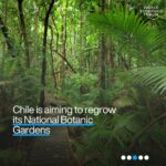 Klaus Schwab Instagram - From the looming La Niña set to bring rains to Asia and dry Americas to the hottest 12-month period ever recorded, here are the key #nature and #climate stories from the past week. Tap the link in our bio for more.
