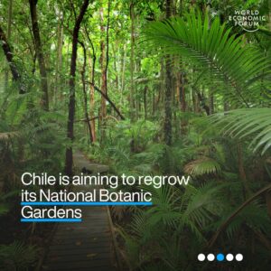 Klaus Schwab Instagram - From the looming La Niña set to bring rains to Asia and dry Americas to the hottest 12-month period ever recorded, here are the key #nature and #climate stories from the past week. Tap the link in our bio for more.