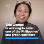 Klaus Schwab Instagram - ‘It's like a little brother’: This conservationist is fighting criminal gangs to save a delicate Philippines ecosystem. The World Economic Forum’s Centre for Nature and Climate is working to protect the environment and increase sustainable practices. Tap the link in our bio to learn more.