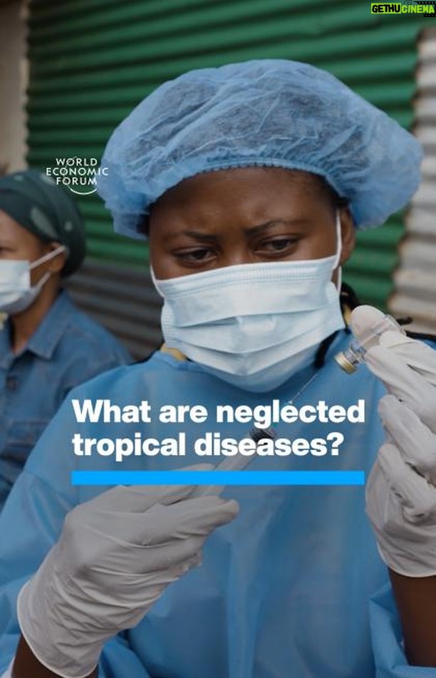 Klaus Schwab Instagram - These preventable or treatable diseases affect 1 billion of the world’s most vulnerable people. Climate change is expected to trigger a “catastrophic rise” in public health issues including infectious diseases, according to the World Economic Forum report ‘Quantifying the Impact of Climate Change on Human Health.’ Learn more on World Neglected Tropical Diseases Day by tapping on the link in our bio. #BeatNTDs