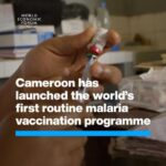 Klaus Schwab Instagram - This world-first malaria vaccine rollout in Africa could save thousands of young lives. Learn more from the World Economic Forum’s insight report, ‘Quantifying the Impact of Climate Change on Human Health’ by tapping on the link in our bio.