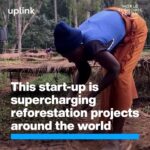 Klaus Schwab Instagram - This solution helps ensure local reforestation projects thrive. Discover more innovative solutions for restoring the world’s forests, on UpLink by tapping the link in our bio. @treeapp @morfo.rest @funga_pbc @terraformationhawaii @wilderclimatesolutions @growtrees_global @globalterraform @Groasis @Terrasos_Co @sankalptaru_foundation @blueforest_impact @wefuplink @1t_org, @ecopetroloficial, @inside_ericsson, @MahindraRise, @Rabobank , @socialalpha_in, @takingroot_reforestation_ #WEF24 #TrillionTrees #TechForGood #SDG15