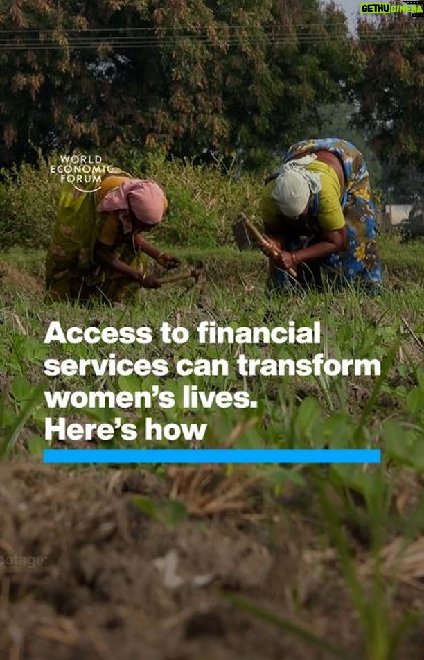 Klaus Schwab Instagram - In low-income countries, just 1 in 4 businesses have female owners. Worldwide, the economic participation gap has closed by just 60.1%. Learn more from the Forum’s annual Global Gender Gap report by tapping the link in our bio. @womensworldbnkg #IWD24