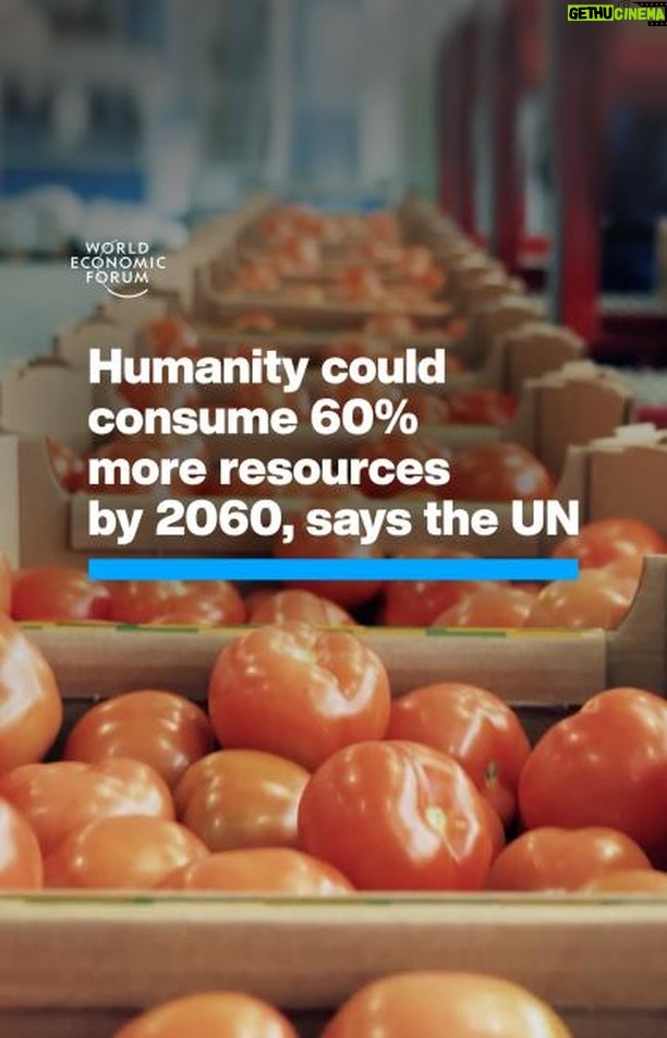 Klaus Schwab Instagram - Demand for crops, metals and other resources has tripled in the past half-century. Disruption to supply chains for goods and resources are one of the top risks facing the world, according to the World Economic Forum’s Global Risks Report 2024. Learn more by tapping on the link in our bio. @unitednations