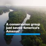 Klaus Schwab Instagram - One of the world’s most ecologically diverse places now has long-term protection. Biodiversity loss and ecosystem collapse are among the greatest long-term risks facing the world. Learn more from the World Economic Forum’s Global Risks Report by tapping on the link in our bio.