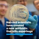 Klaus Schwab Instagram - Harvard scientists have found the answer to help us win the battle against superbugs. Their new synthetic compound, cresomycin, has been shown to kill many strains of drug-resistant bacteria. Learn more about the World Economic Forum's Global Future Council on the Future of Tackling Antimicrobial Resistance by tapping the link in our bio. harvard #Health #AMR
