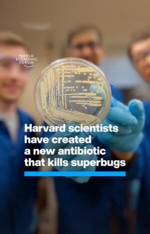 Klaus Schwab Instagram - Harvard scientists have found the answer to help us win the battle against superbugs. Their new synthetic compound, cresomycin, has been shown to kill many strains of drug-resistant bacteria.

Learn more about the World Economic Forum's Global Future Council on the Future of Tackling Antimicrobial Resistance by tapping the link in our bio.

harvard #Health #AMR