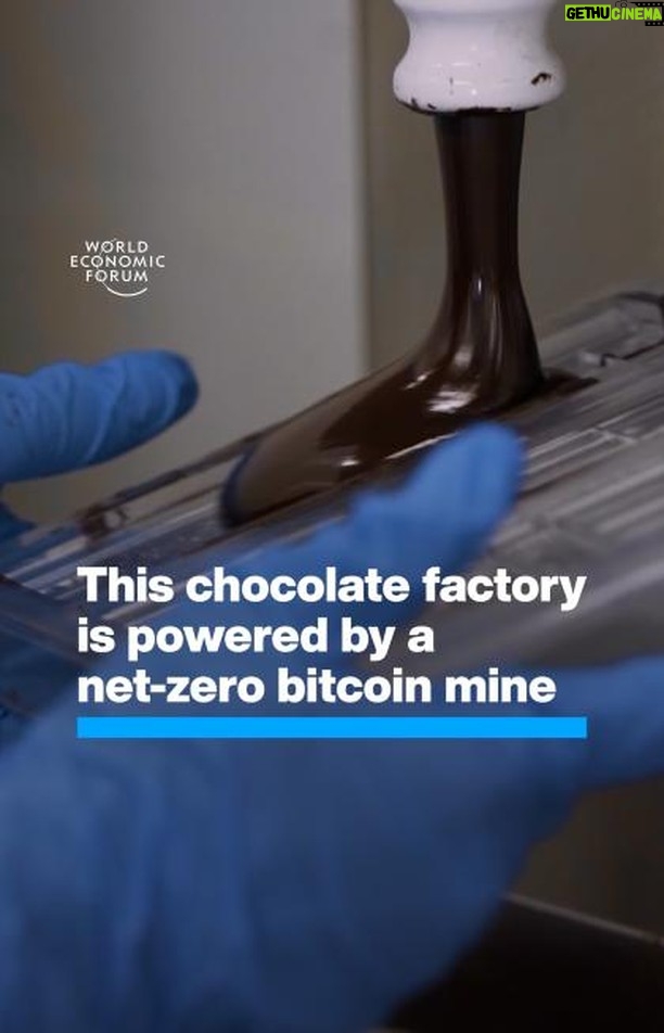 Klaus Schwab Instagram - Virunga is the first national park to own a bitcoin mine. Learn more about how this corner of eastern Congo is making a bid for clean energy and clean jobs by tapping on the link in our bio.