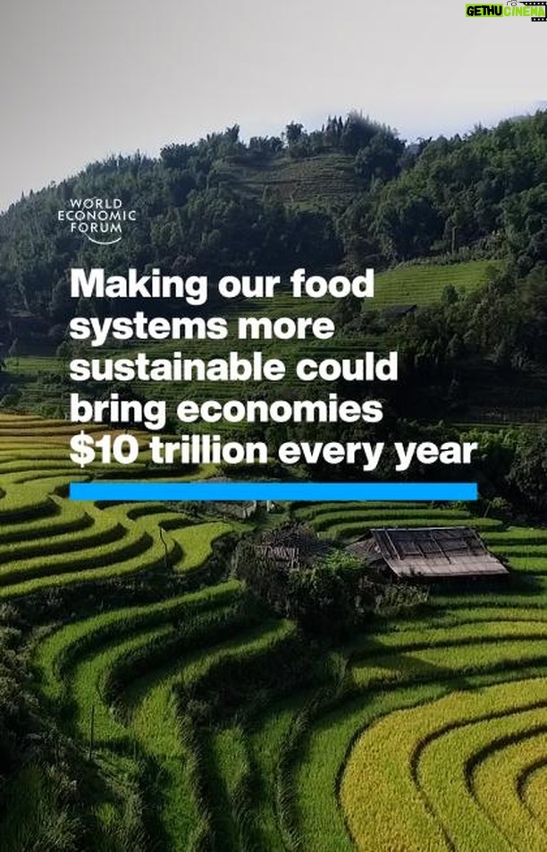 Klaus Schwab Instagram - Right now the food system destroys more value than it creates. The World Economic Forum’s report 'Transforming the Global Food System for Human Health and Resilience' advocates for a significant shift in strategy for global food system transformation. Tap the link in our bio to learn more.