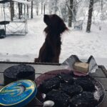 Klavdiya Vysokova Instagram - Тепло там, где семья ❤️ А как ваше начало года?