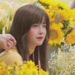 Koo Hye-sun Instagram - 단편 영화 '다크 옐로우'가 제24회 쇼트쇼츠 국제단편영화제 '아시아 경쟁 부문'에'관객상'을 수상했다는 소식을 전달 받았습니다. 인생은 롤러코스터!!!심쿵!!!!! (주연-안서현.연제환.윤혁진. 임지규.구혜선/감독-구혜선)