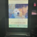 Koo Hye-sun Instagram - 감자의 인절미 시절❤️