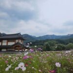 Korapat Kirdpan Instagram - 난 이미 천국을 봤어