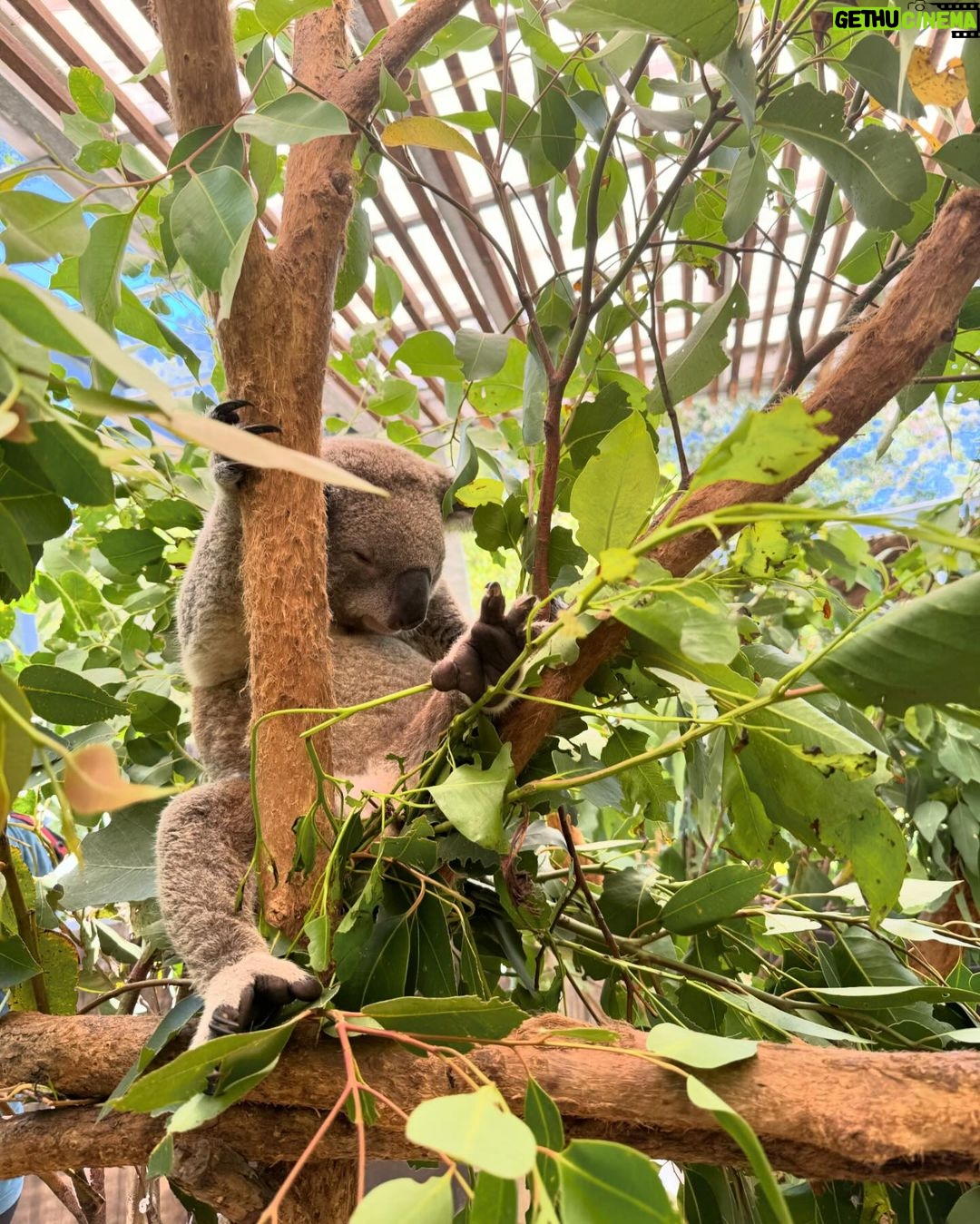 Kourtney Kardashian Barker Instagram - Feeling so grateful for every single second of time with my babies. Rare to get 2 full weeks of 24/7 time as they get older! Thank you Australia for the beautiful memories (minus the spiders).