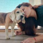 Kratika Sengar Instagram - 12 years of wagging tails and wet kisses (don't get many these days 😒) Happy Birthday Donut... Stay healthy baby ❣️ we love youu💕