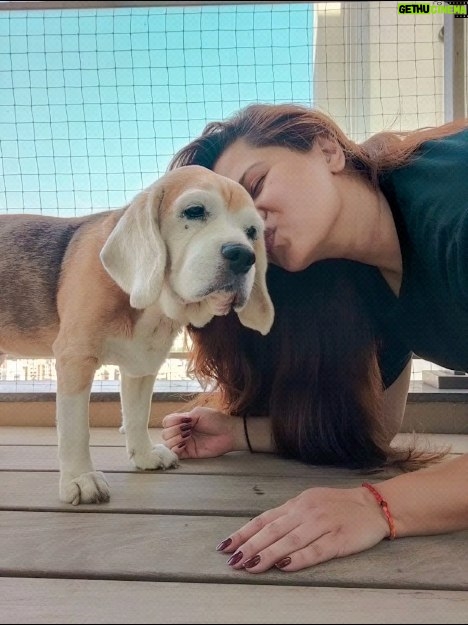 Kratika Sengar Instagram - 12 years of wagging tails and wet kisses (don't get many these days 😒) Happy Birthday Donut... Stay healthy baby ❣ we love youu💕