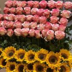 Kris Aquino Instagram - Inamin ko na malayo sa okay ang kalusugan ko… pero ginagawa pa rin namin ang lahat ng kakayanin sa ngayon, para makatulong sa kapwa. Simple ang dahilan ko, hindi nyo kami iniwan nung kami ang nangangailangan… i am just reciprocating in the way i am at present able to, the LOVE, SUPPORT, KINDNESS, COMPASSION, and LOYALTY many Filipinos have given me and my family, especially now that many need assistance. Lahat ng napangakuan, ginagawan ng paraan na matupad bago mag January 25, birthday in heaven ng mom ko. Isang request lang po, please don’t scold my nurse for not wearing gloves during our IV insertion- ako po ang nag request na tanggalin na nya kasi naubusan na ko ng veins for the IV line, fragile & weak kasi ang mga ugat ko. Whether doctor or nurse, inaabot minsan ng 8 attempts to get the line successfully in. Mahaba pa ang laban ko to strengthen my body & heal my broken heart… BUT from childhood i already knew, for me weakness could never be an option… especially NOW because i have kuya josh & bimb who still need me to love, care, and provide for them. Para sa dalawang pinakamamahal ko, hindi ako susuko. 💛 P.S. to protect the privacy of the very thoughtful friends who sent me flowers, balloons, fruits, home cooked food, Rosaries, prayer books, ice cream, and so much more i am refraining from any gratitude posts. To all, please know how much your thoughtfulness & gestures of caring especially your messages and hand written cards have uplifted me. At least now i know sino ang totoong nagmamahal at maaasahan, at sino ang makasarili at fake lang pala. (Hindi po yung ex fiancé ang pinatatamaan, kung sya pinangalanan ko na lang.)