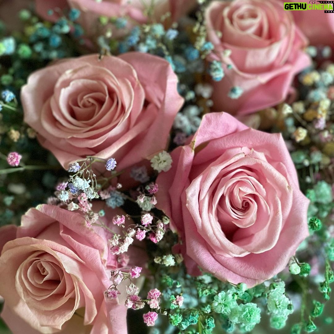 Kris Aquino Instagram - like roses that take time to bloom, my health also needs TIME… ayaw kong mapahiya sa inyo… there were too many stops & starts; maybe God was really preparing me for this… so until September weekly updates lang tayo. my family (meaning my siblings) and i know now how to love & support each other in the way that each one needs… our mom would remark how could she have given birth to 5 kids w/ such different personalities? it was this year that we realized “kanya kanya talaga” and that part of loving each other is respecting individual choices yet being there when you’re needed & wanted but knowing our boundaries. gusto kong mag kwento sa inyo ng pagtatapos ng isang mahabang bahagi ng buhay ko, pero nagbabago nga ang mga tao… that’s our story, not mine alone. so the parts i can share come from only what i personally said & did. hinabol ko to arrive bago mag midnight 1 night in May. EFFORT kasi 4 hours each way para lang makita ko sya for a total of 15 minutes (lock in sila for work but nag PCR ako to be sure)… sa entrance lang nagkita, hindi sa loob. i simply wanted to personally greet him happy birthday, give my gift and my letter. Sinuklian ko lang because nag effort din sya nung birthday ko to personally give his gift that was maeningful. Pero nung May, that was our THE END. Siguro ang pinaka safe na pwede kong i- quote from my birthday letter was i said: i wish him REAL happiness because “we both deserve our versions of ME AFTER YOU”… after 7 years, we did become the best of friends & i know even that part is now over. Nagsalita na ‘ko because i still have 4 years, for bimb to experience “normal”… all he’s seen & known are dysfunctional relationships & i don’t want him to become an adult without me trying to move forward and God willing, giving my sons a chance to have the stepfather they deserve. Because i know, i’m not enough. He doesn’t have to be rich or famous, better nga kung hindi sya public figure… basta tama ang values, madasalin, may integridad, matalino, at masipag, answered prayer na sya. i’ve achieved all my dreams, it’s now my turn to focus on what really matters- trying for my sons get the father figure they never had. #mytruth