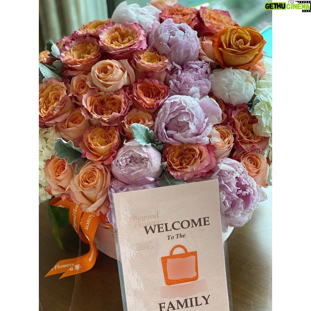 Kris Aquino Instagram - on a rainy monday, these beautiful flowers are helping put a very big smile on my face. 🧡 tomorrow because you said you missed my uploads, we’re shooting new cooking videos for my Lady’s Choice Family. 💙 i am so very grateful for the continued trust of @unileverphilippines (it’s our 3rd Christmas); AND i’m looking forward to a very exciting journey with my new brand partner. i’ll repeat, okay? Please keep hoping, keep praying, keep believing, and keep loving. ❤️❤️❤️ May i add- THANKS to all of you... kung hindi naman kayo patuloy na nagtiwala at sumuporta, hindi ko rin mararanasan yung blessings na dumarating ngayon sa buhay ko.
