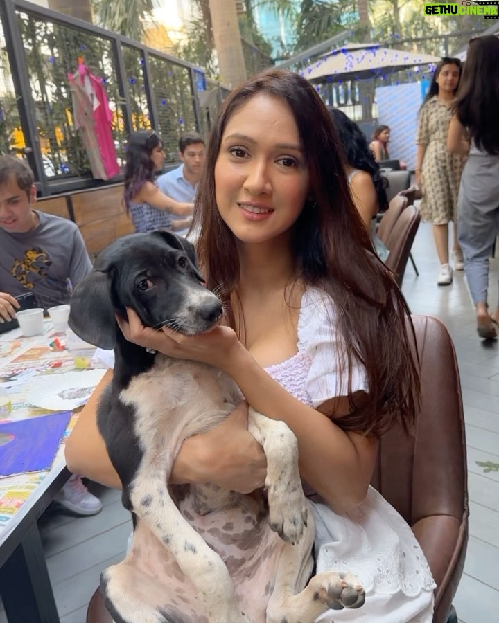 Krissann Barretto Instagram - I had the most therapeutic Sunday with these angels ♥️ #paintwithpuppies was soooo much fun ♥️ @pawasana_ Thankyou so much for this lovely experience ♥️ You never really know true love till you have experienced the love of a dog ♥️ if you or anyone you know is looking to adopt or foster a pup please DM @pawasana_ ♥️ We had such an amazing time at @outofthebluebombay they have a new must try menu ♥️ #love #grateful #happy #babies #puppy #puppylove #painting #puppies #adopt #blessed #picoftheday #insta #instagood #instalike #instagram #sunday #bff #happy #thankyou
