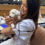 Krissann Barretto Instagram – I had the most therapeutic Sunday with these angels ♥️ #paintwithpuppies was soooo much fun ♥️
@pawasana_ Thankyou so much for this lovely experience ♥️ 
You never really know true love till you have experienced the love of a dog ♥️ if you or anyone you know is looking to adopt or foster a pup please DM @pawasana_ ♥️ 

We had such an amazing time at @outofthebluebombay they have a new must try menu ♥️ 

#love #grateful #happy #babies #puppy #puppylove #painting #puppies #adopt #blessed #picoftheday #insta #instagood #instalike #instagram #sunday #bff #happy #thankyou