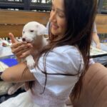Krissann Barretto Instagram - I had the most therapeutic Sunday with these angels ♥️ #paintwithpuppies was soooo much fun ♥️ @pawasana_ Thankyou so much for this lovely experience ♥️ You never really know true love till you have experienced the love of a dog ♥️ if you or anyone you know is looking to adopt or foster a pup please DM @pawasana_ ♥️ We had such an amazing time at @outofthebluebombay they have a new must try menu ♥️ #love #grateful #happy #babies #puppy #puppylove #painting #puppies #adopt #blessed #picoftheday #insta #instagood #instalike #instagram #sunday #bff #happy #thankyou