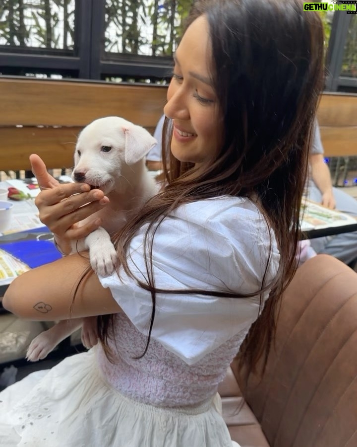 Krissann Barretto Instagram - I had the most therapeutic Sunday with these angels ♥ #paintwithpuppies was soooo much fun ♥ @pawasana_ Thankyou so much for this lovely experience ♥ You never really know true love till you have experienced the love of a dog ♥ if you or anyone you know is looking to adopt or foster a pup please DM @pawasana_ ♥ We had such an amazing time at @outofthebluebombay they have a new must try menu ♥ #love #grateful #happy #babies #puppy #puppylove #painting #puppies #adopt #blessed #picoftheday #insta #instagood #instalike #instagram #sunday #bff #happy #thankyou