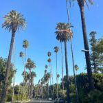 Kristin Cavallari Instagram - A few days in LA ✨