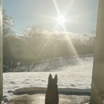 Kristin Cavallari Instagram – Woke up to some snow Franklin, Tennessee