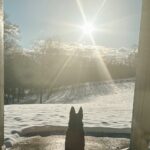 Kristin Cavallari Instagram - Woke up to some snow Franklin, Tennessee