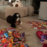 Kristin Cavallari Instagram - Testing Quinn’s self control