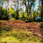Kristofer Hivju Instagram – When you miss a putt 🤯 And how it should have been done! Brilliant played by the Norwegian champ @knut_haaland 🏆 who won the #pcsopen tournament last weekend followed by the eminent players @peterlundedg and #stålehakstad Thanks to @innovadiscs and the superbly hosted by #jørangjelstenlufall @frisbee_1 and #sivertøverås @overaasfrisbeegolf Next years @pcs_sulaopen is going to be EPIC! #vassetdiskgolfpark @josteinhaaland #teaminnova #innovadiscs100k First video by #olemariusbårdsnes Øverås