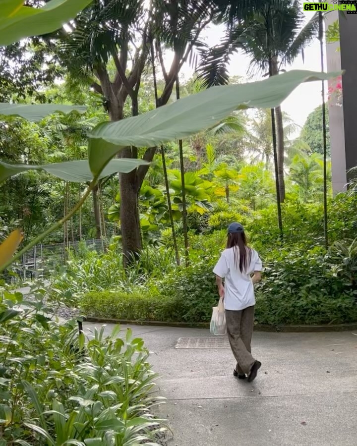 Krystal Jung Instagram - from singapore🌴