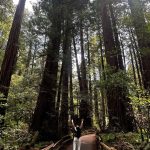 Krystal Jung Instagram – the forest has ears🌳👂🏻