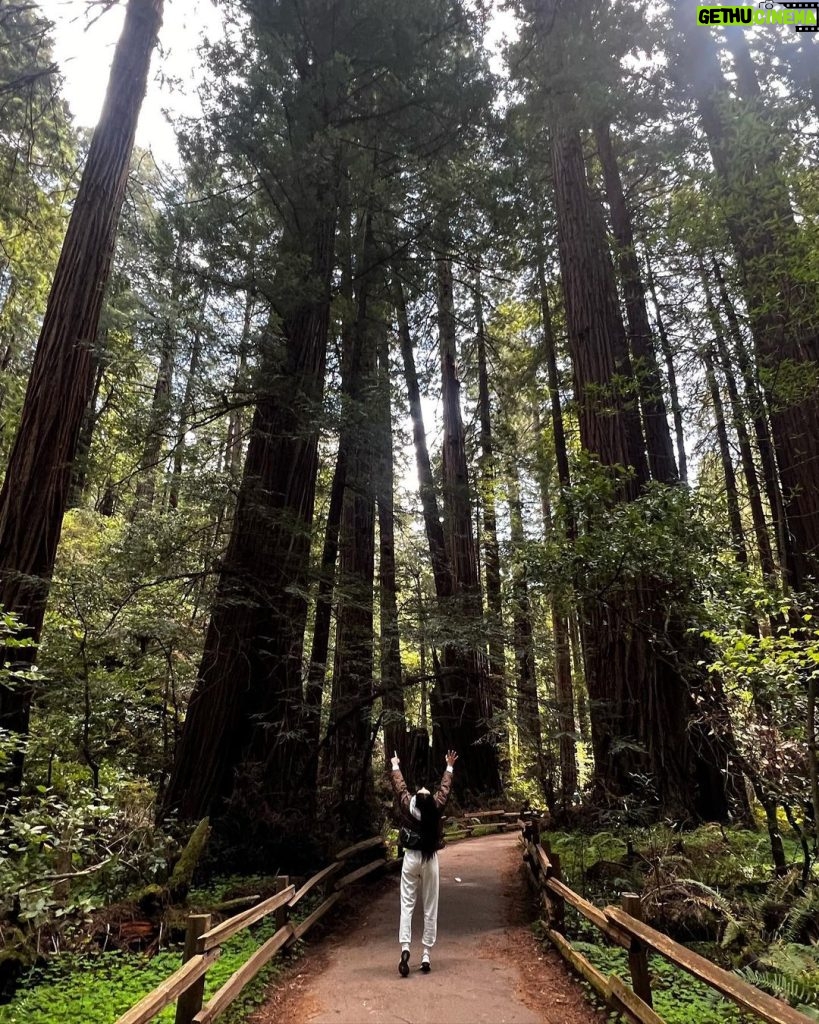 Krystal Jung Instagram - the forest has ears🌳👂🏻