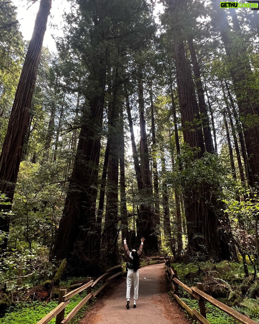 Krystal Jung Instagram - the forest has ears๐ณ๐๐ป